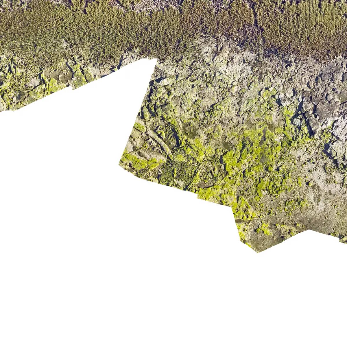 Ortomosaico de Peninsula Valdes - Punta Cantor 2026 campaña 2